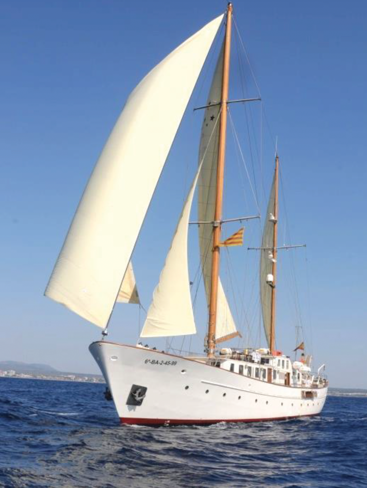 cruise ship
