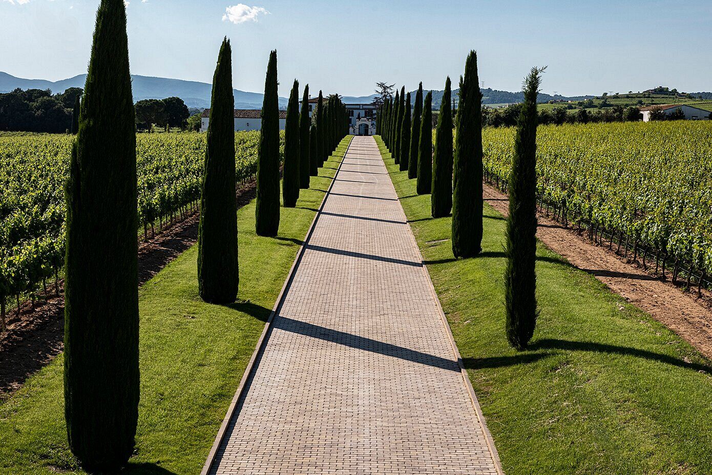 pere-ventura-estate
